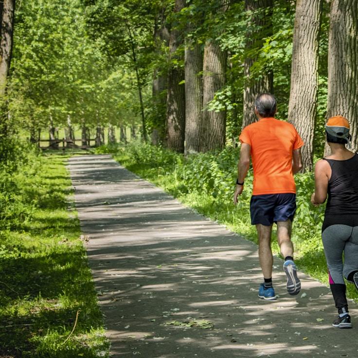 Group fitness class environment